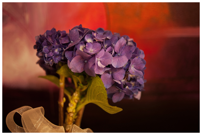 Monterrey Wedding Photography Carlos Elizondo