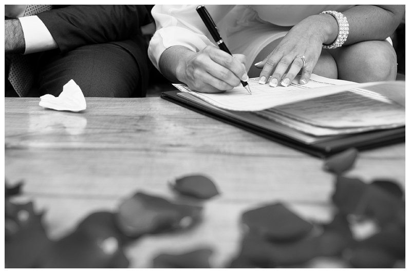 Mexico Wedding Photographer Carlos Elizondo