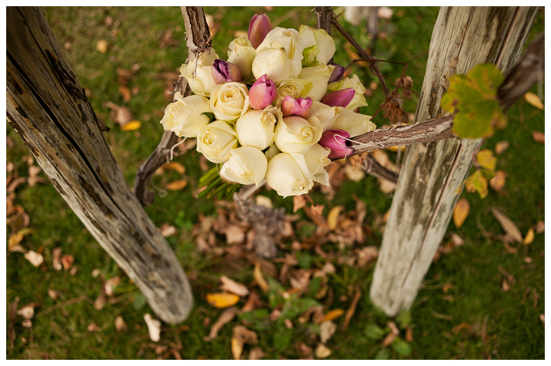 Mexico Wedding Photographer Carlos Elizondo