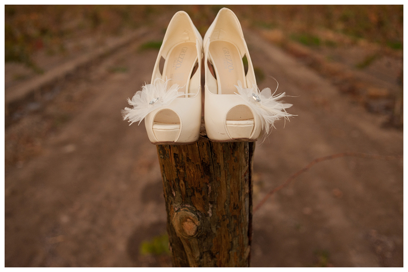 Mexico Wedding Photographer Carlos Elizondo