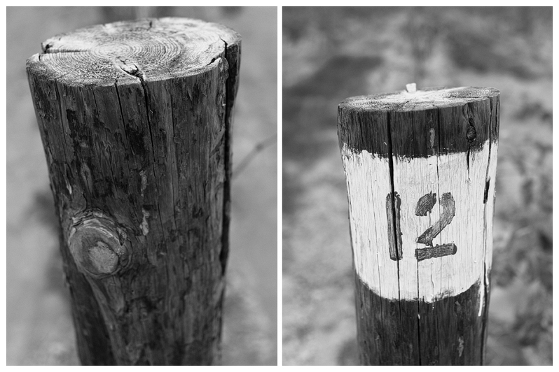 Mexico Wedding Photographer Carlos Elizondo