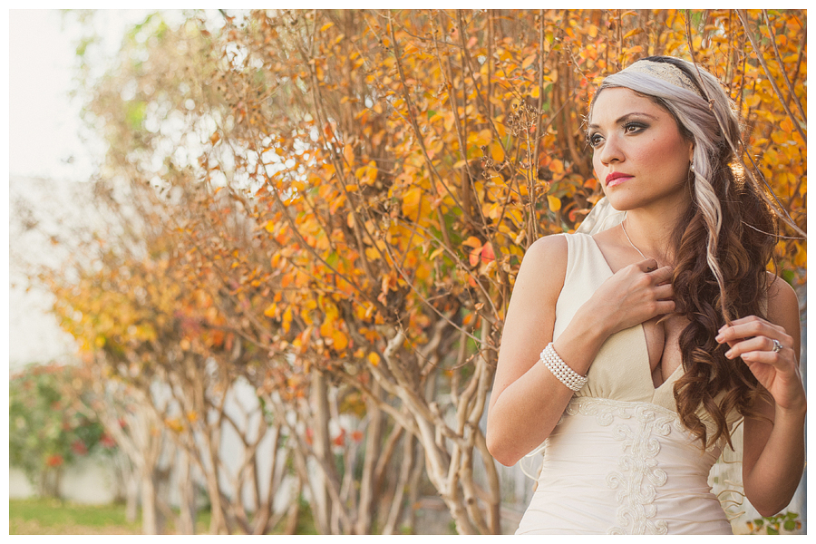 Mexico Wedding Photographer Carlos Elizondo