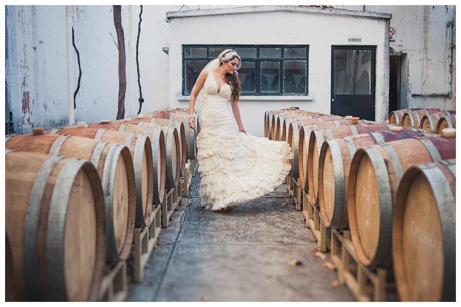 Mexico Wedding Photographer Carlos Elizondo