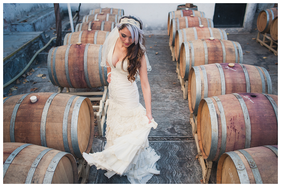 Mexico Wedding Photographer Carlos Elizondo