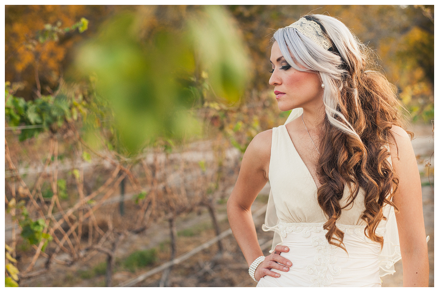 Mexico Wedding Photographer Carlos Elizondo