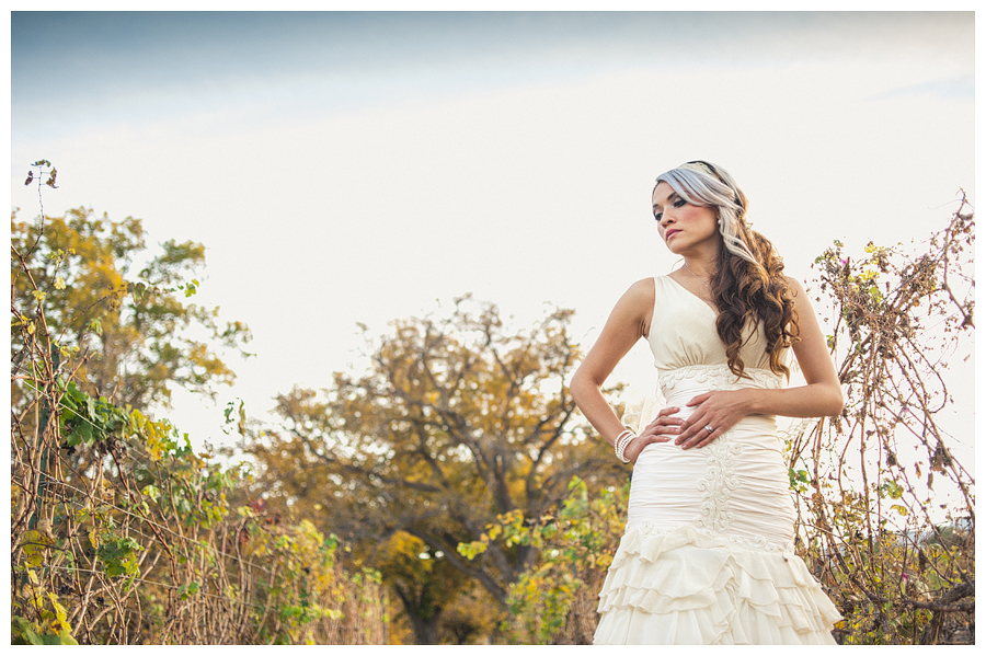 Mexico Wedding Photographer Carlos Elizondo