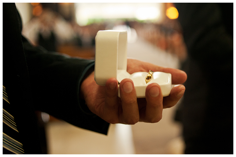 Mexico Wedding Photographer Carlos Elizondo