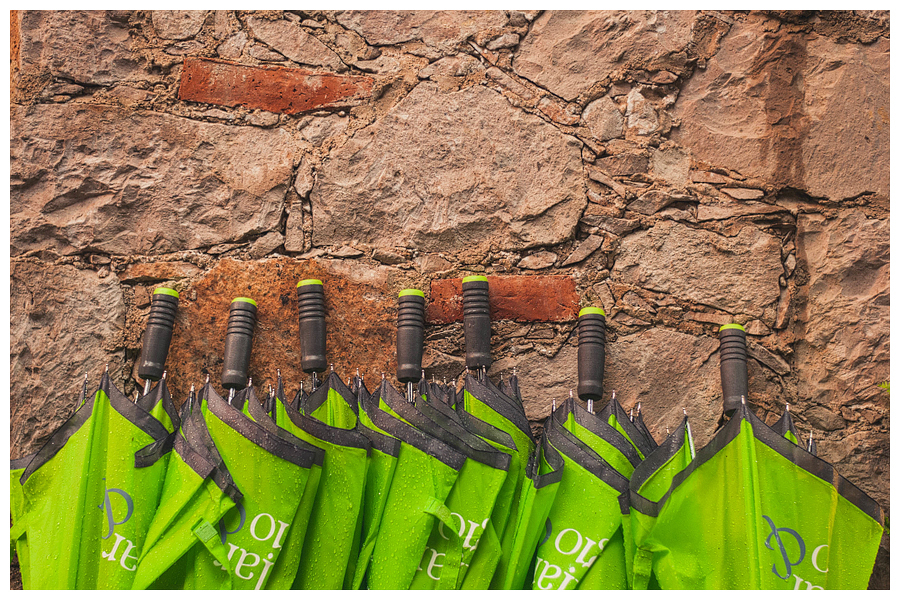 Mexico Wedding Photographer Carlos Elizondo