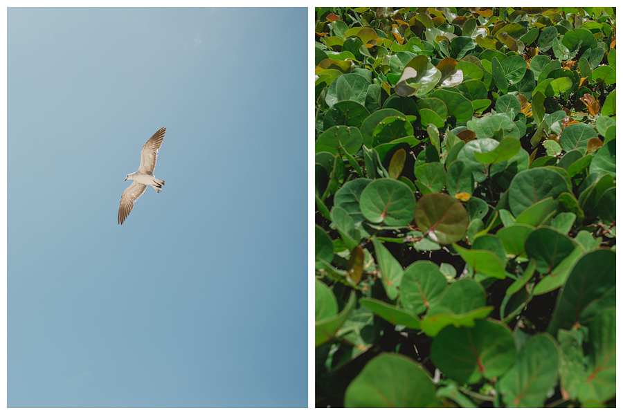 Cancun Wedding Photographer