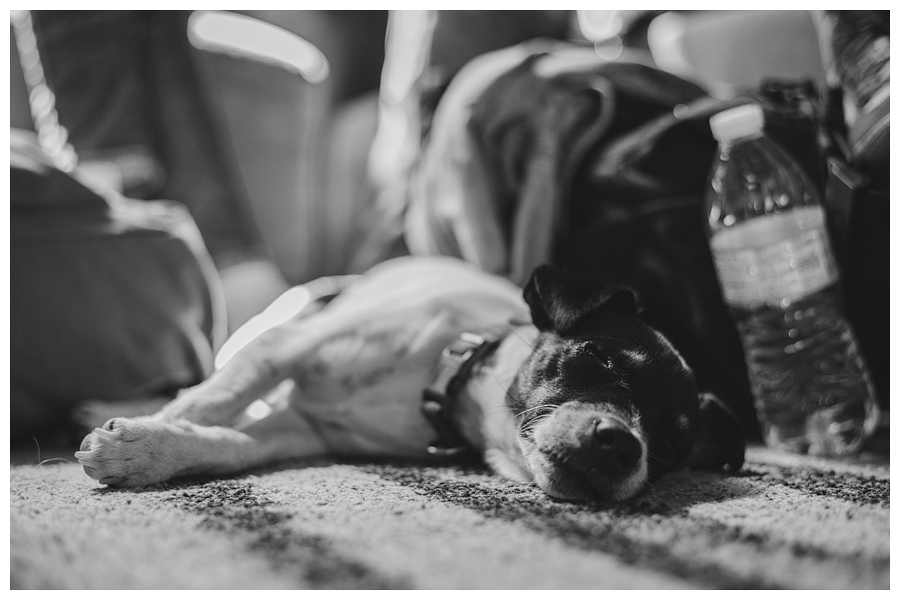 Mexico Wedding Photographer Fer Juaristi