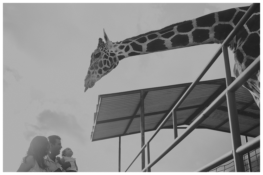 Sesiones de Fotografia